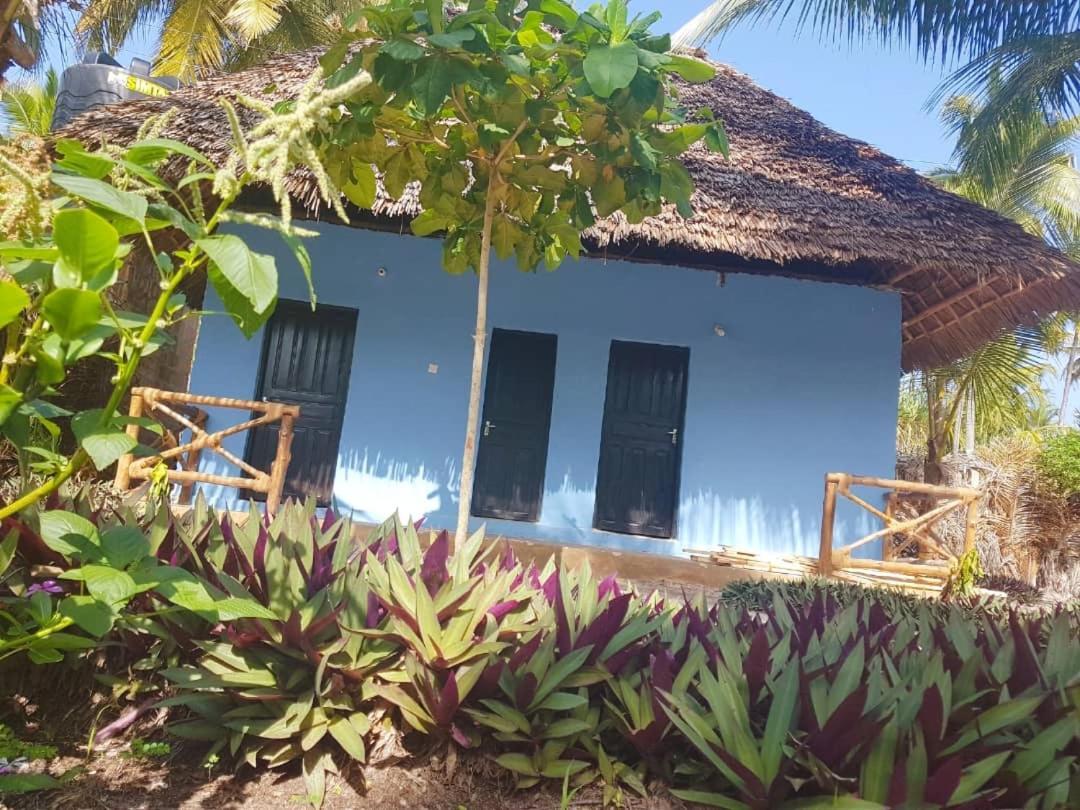 Dreams Of Mapacha Michamvi Kae Exterior photo