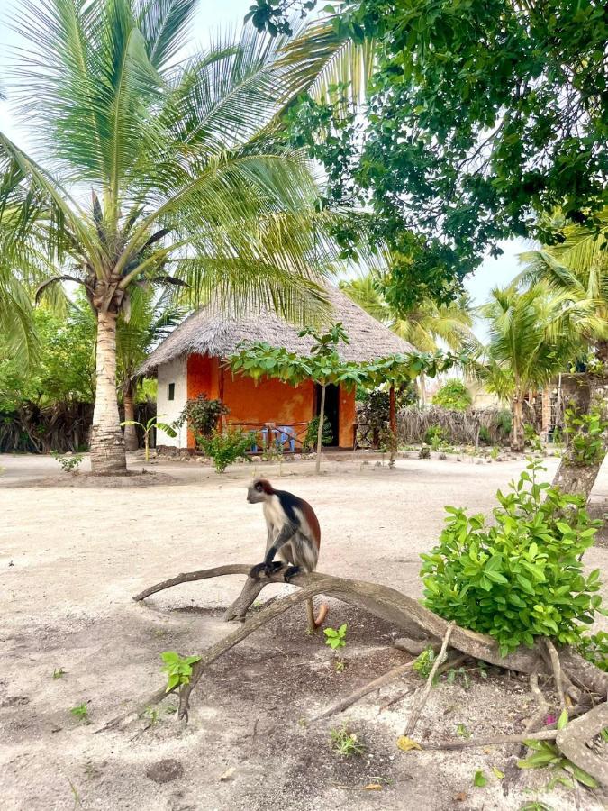 Dreams Of Mapacha Michamvi Kae Exterior photo