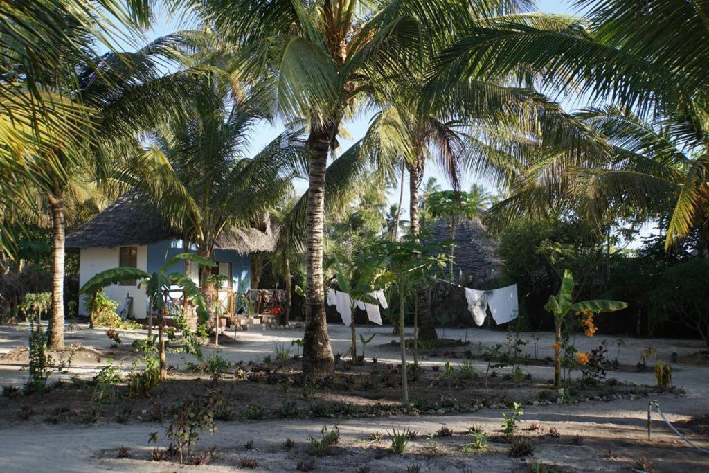 Dreams Of Mapacha Michamvi Kae Exterior photo