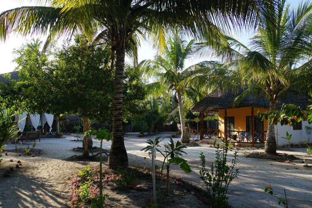 Dreams Of Mapacha Michamvi Kae Exterior photo